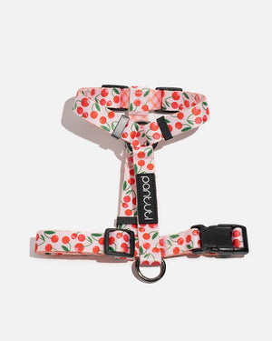 Szelki guard dla psa w wisienki CHERRY PUP