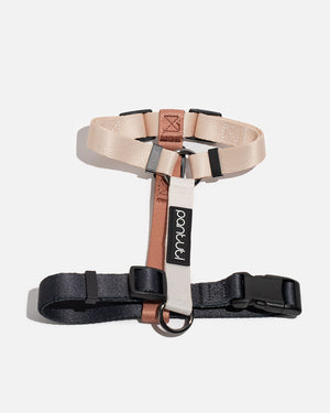 Postroj typu guard pro psa FRAPPE
