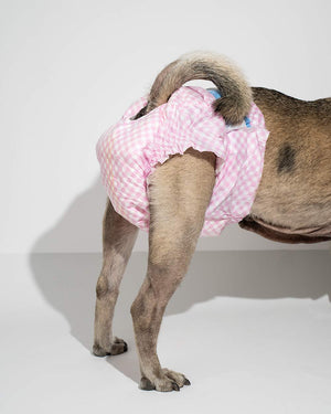 Chłonne pieluchy dla suczki PUPPERS CLASSIC