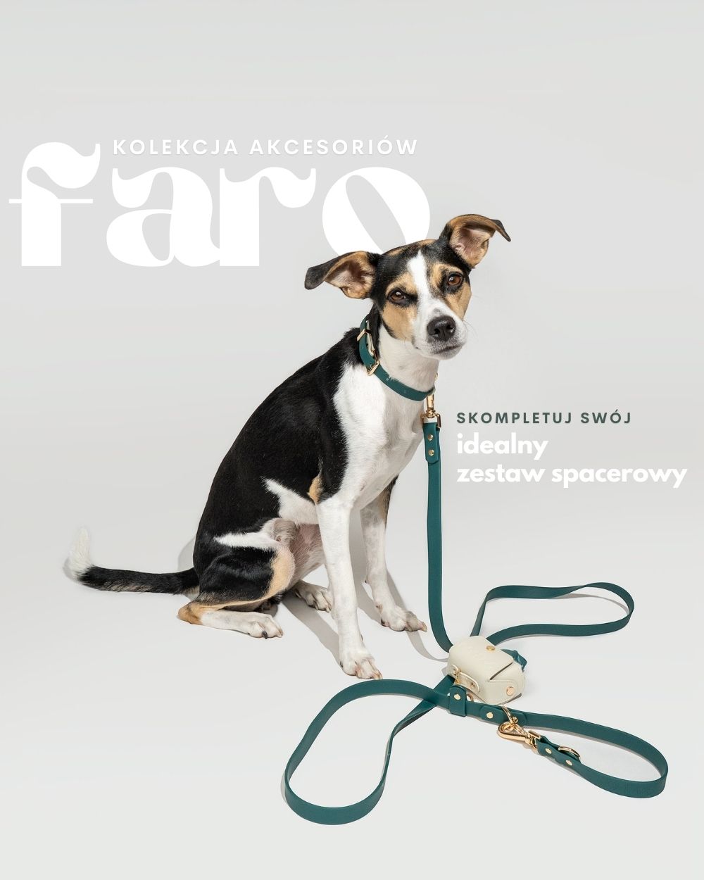 Minimalistyczna obroża dla psa FARO