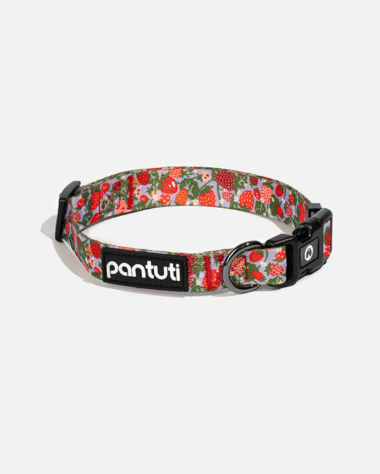 Obroża dla psa w truskawki BERRY