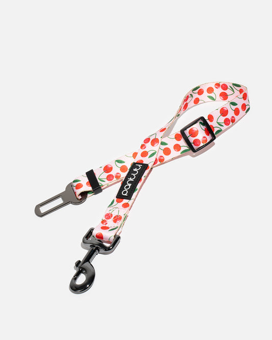 Pasy samochodowe dla psa w wisienki CHERRY PUP