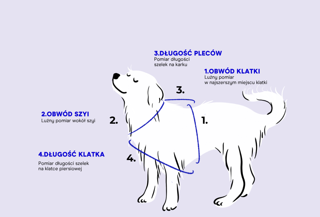 Szelki guard +/- 2 cm - measurement guide