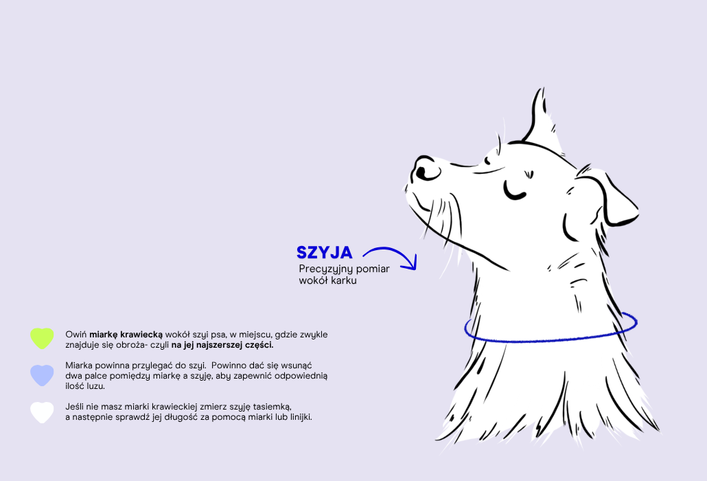 Obroża +/- 2 cm - measurement guide