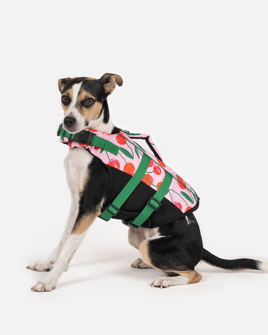 Kapok dla psa w wisienki CHERRY PUP