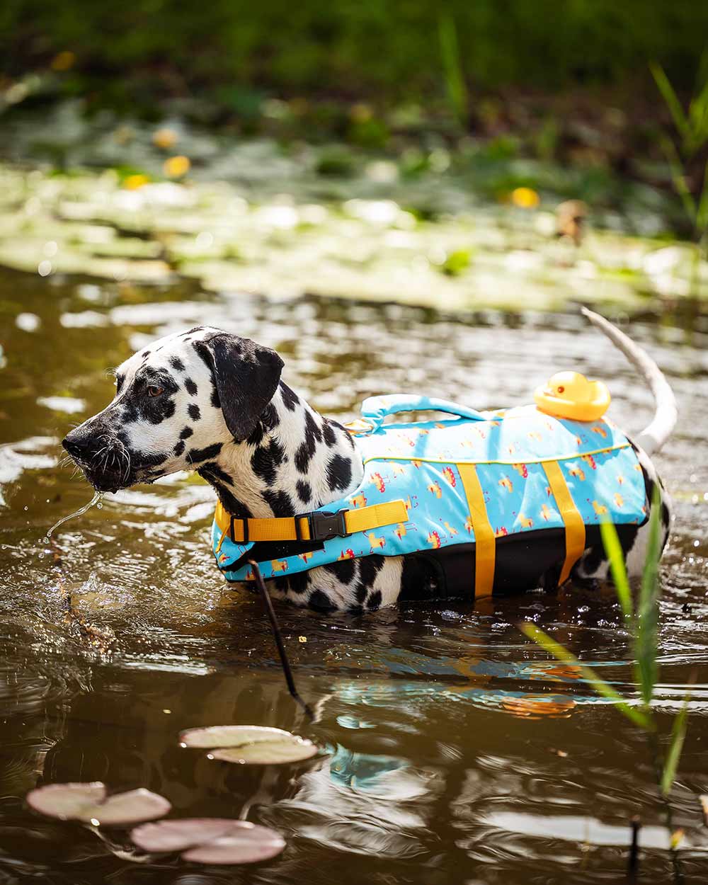 Uroczy kapok dla psa z gumową kaczuszką DOGGY DUCK