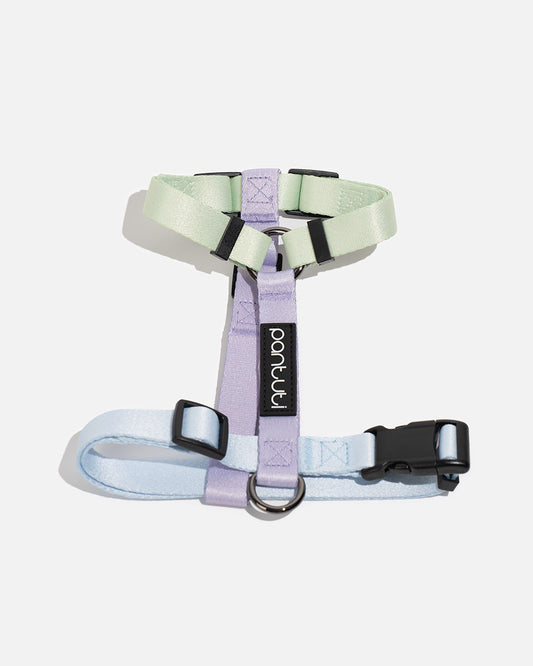 Szelki guard dla psa LAVENDER
