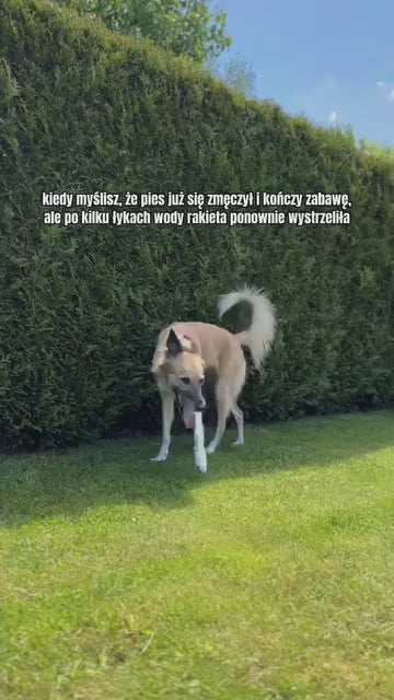 Składana silikonowa butelka turystyczna dla zwierząt MONTE