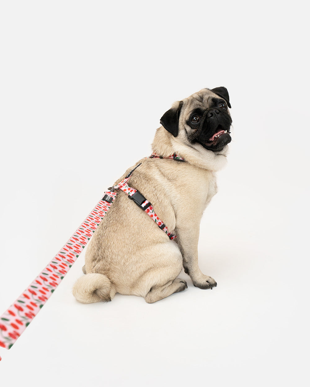 Szelki guard dla psa w wisienki CHERRY PUP