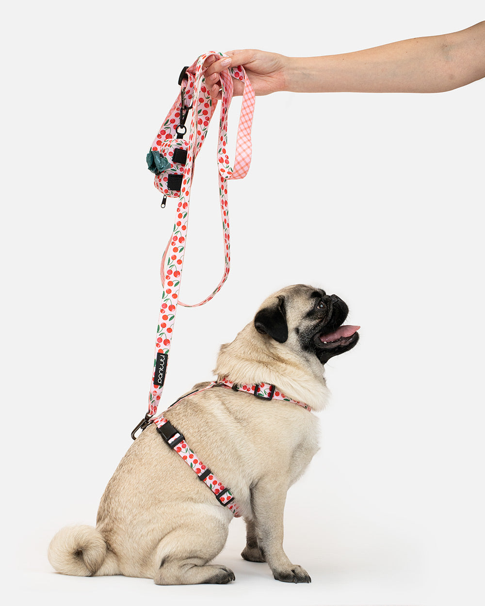 Szelki guard dla psa w wisienki CHERRY PUP